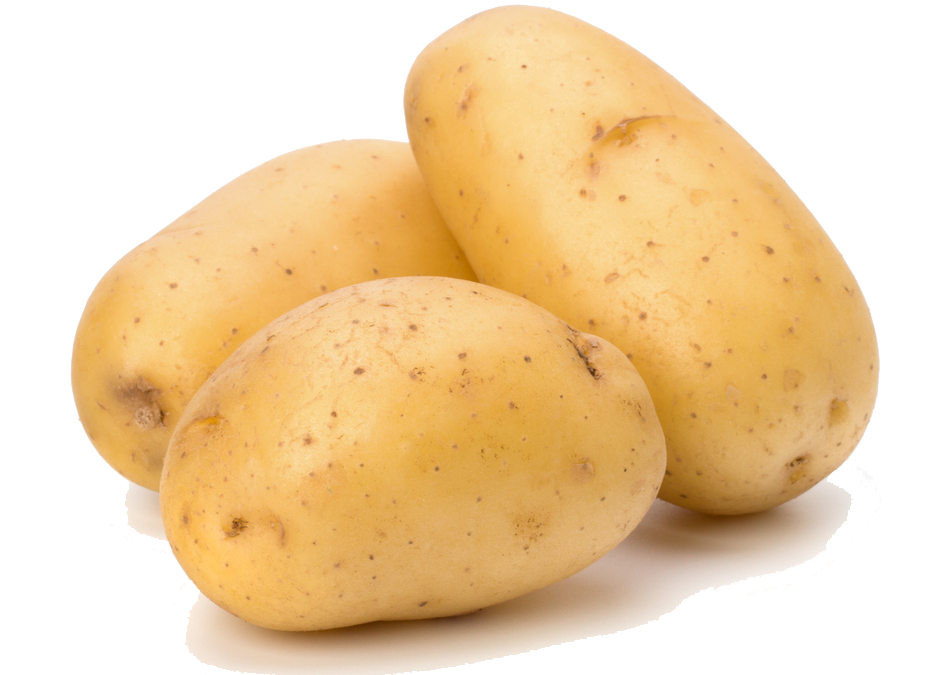 Potato