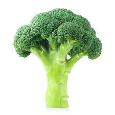 Broccoli (ब्रॉकली)