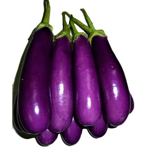 Brinjal (बैंगन)