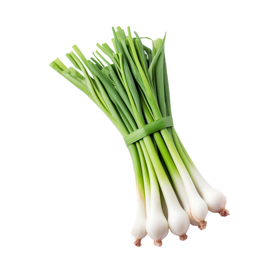 Spring Onion (Hare pyaaz)