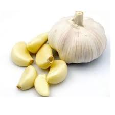 Garlic (Lahsun)